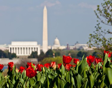 Image for Big Data Roundtable Event